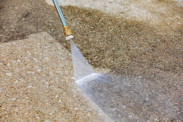 Best Driveway Pressure Washing  in Niles, MI
